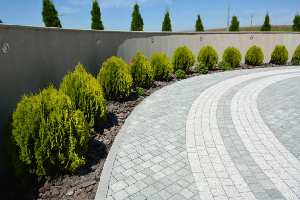 Best Professional Driveway Pavers  in Punta Rassa, FL